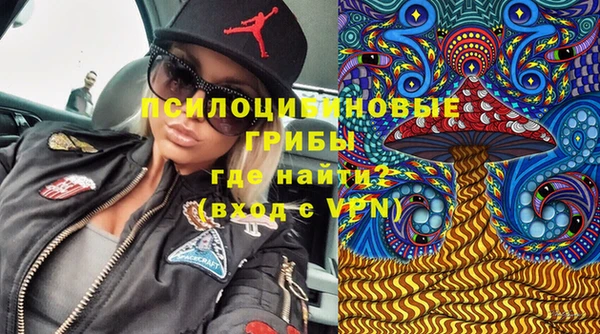 амф Ладушкин