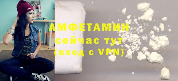 амф Ладушкин