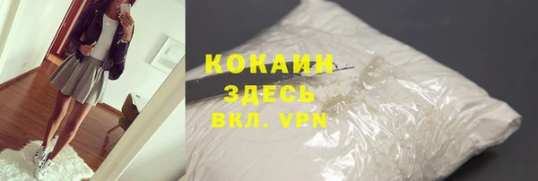 амф Ладушкин