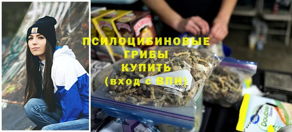 амф Ладушкин