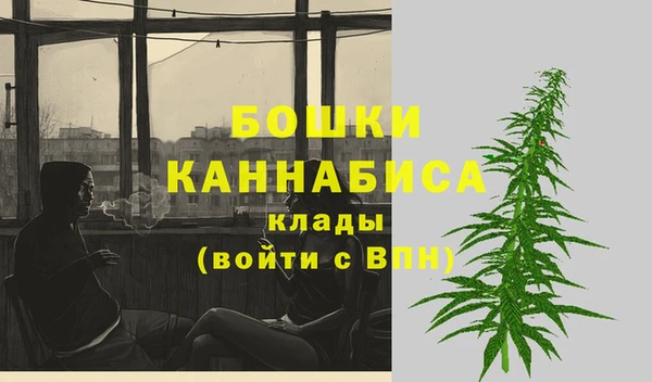 амф Ладушкин